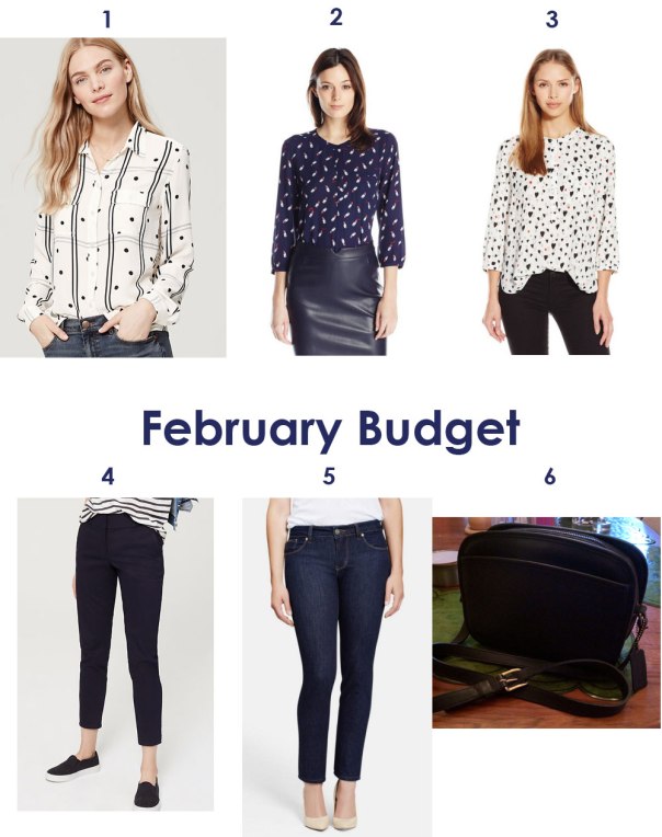 What I bought in February: LOFT dotty blouse, NYDJ lipstick blouse, NYDJ hearts blouse, LOFT skinny pants, Beija Flor Nicole Jeans, Vintage Coach bag